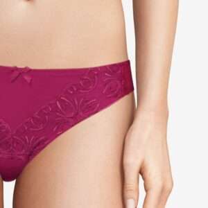Chantelle LINGERIE ONDERSTUKKEN SLIP STANDAARD EVO
