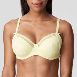 SAPRI starlight beugelbh