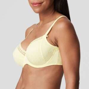 SAPRI starlight beugelbh