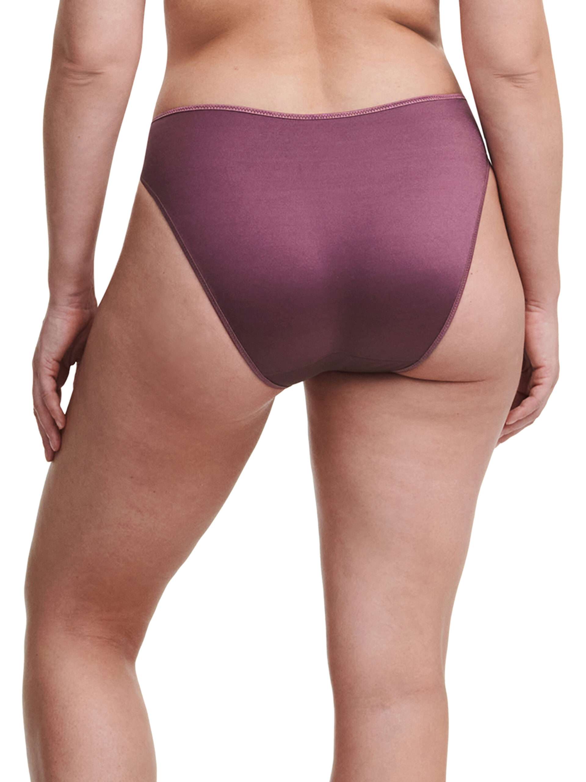 Chantelle LINGERIE ONDERSTUKKEN SLIP STANDAARD