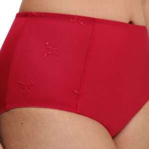 Chantelle LINGERIE ONDERSTUKKEN BROEKJE HOGE TAILL