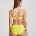 BRIGITTE suncoast bikini short