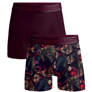 Men 2-packboxershorts