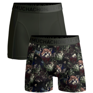 Men 2-pack boxershorts