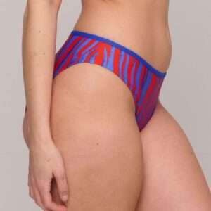 SKUDAI Wild stripes bikini rioslip (enkel te koop als setje)