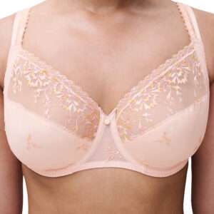 Chantelle LINGERIE BH BEUGEL ERG BEDEKKEND