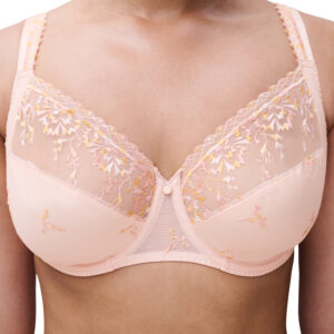 Chantelle LINGERIE BH BEUGEL ERG BEDEKKEND