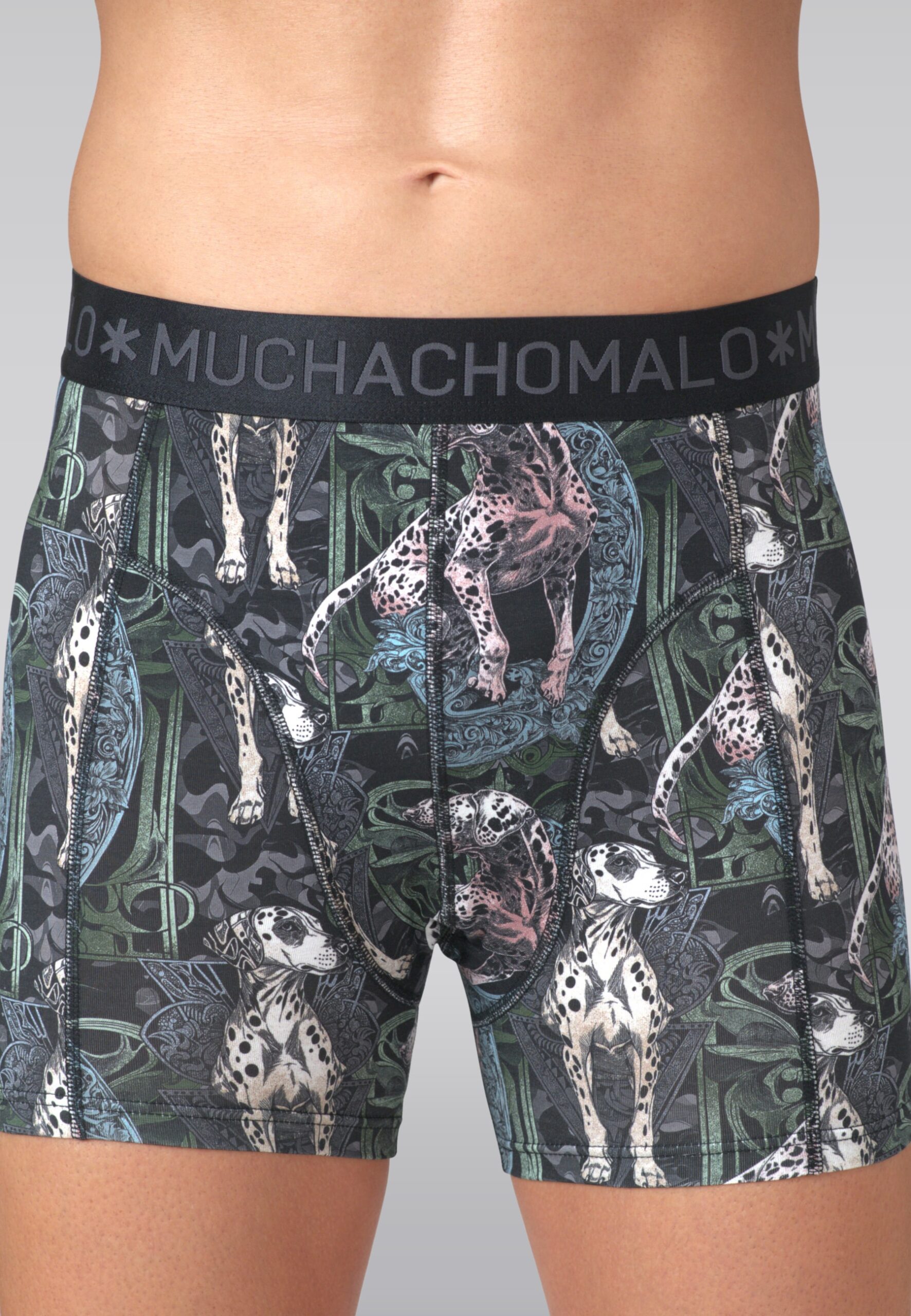 Men 2-pack Boxer Shorts print/solid