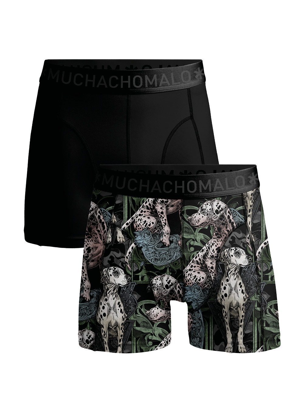 Men 2-pack Boxer Shorts print/solid