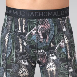 Men 2-pack Boxer Shorts print/solid
