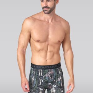 Men 2-pack Boxer Shorts print/solid