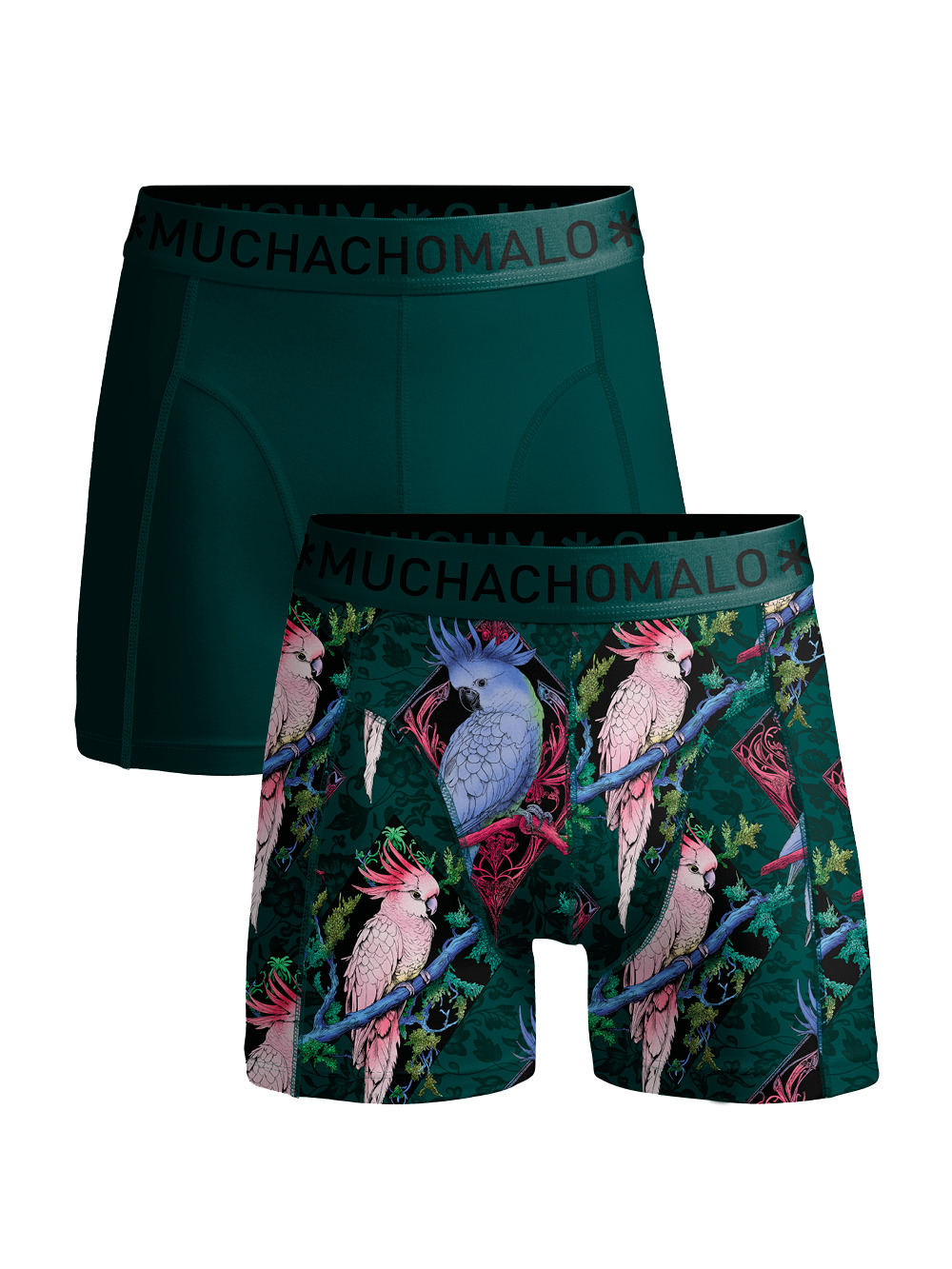 Men 2-pack Boxer Shorts print/solid