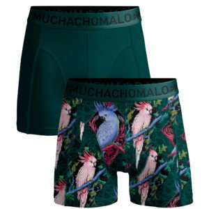 Men 2-pack Boxer Shorts print/solid