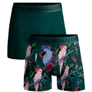 Men 2-pack Boxer Shorts print/solid