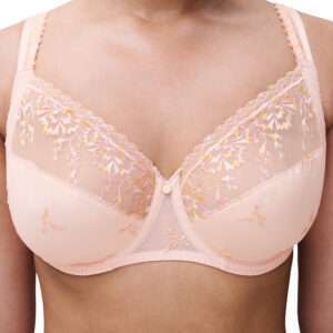 Chantelle LINGERIE BH BEUGEL ERG BEDEKKEND
