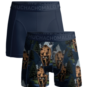 Men 2-pack Boxer Shorts print/solid