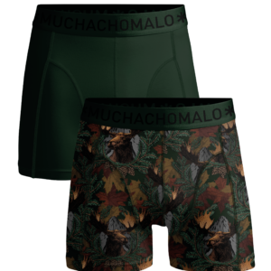 Men 2-pack Boxer Shorts print/solid