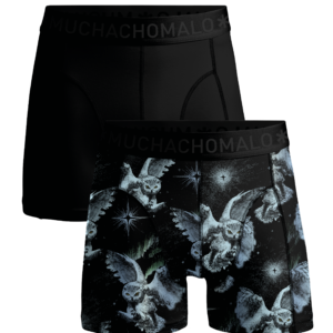 Men 2-pack Boxer Shorts print/solid